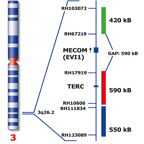 RUO MECOM Break Triple color - ISH Probes - Molecular Pathology