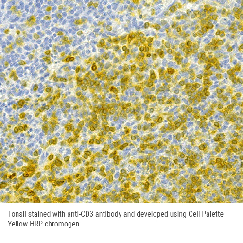 Cell Palette Yellow HRP Chromogen Kit photo produit Front View L