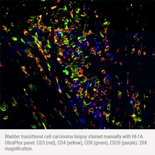 HI-1A Multiplex Panel - Human CD3, CD4, CD8, CD20 Produktfoto Front View S