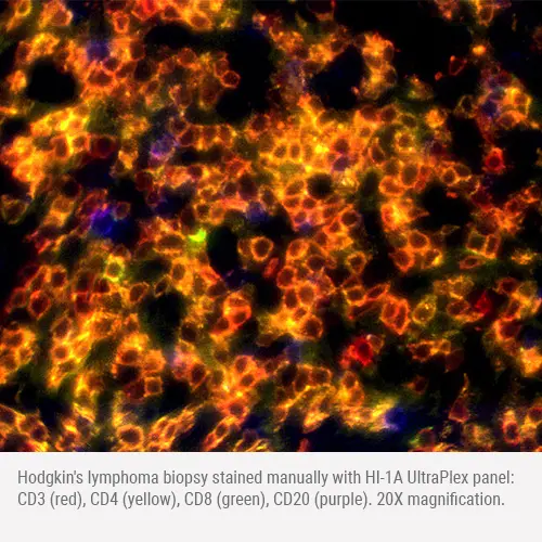 HI-1A Multiplex Panel - Human CD3, CD4, CD8, CD20 Produktfoto Side View S